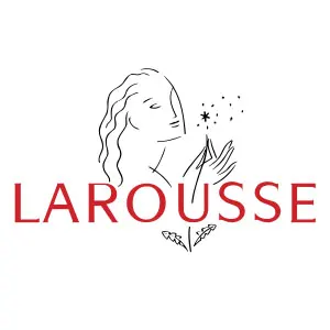 The-Brick_0001_larousse
