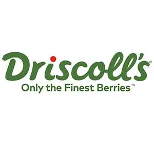 The-Brick_0004_driscolls